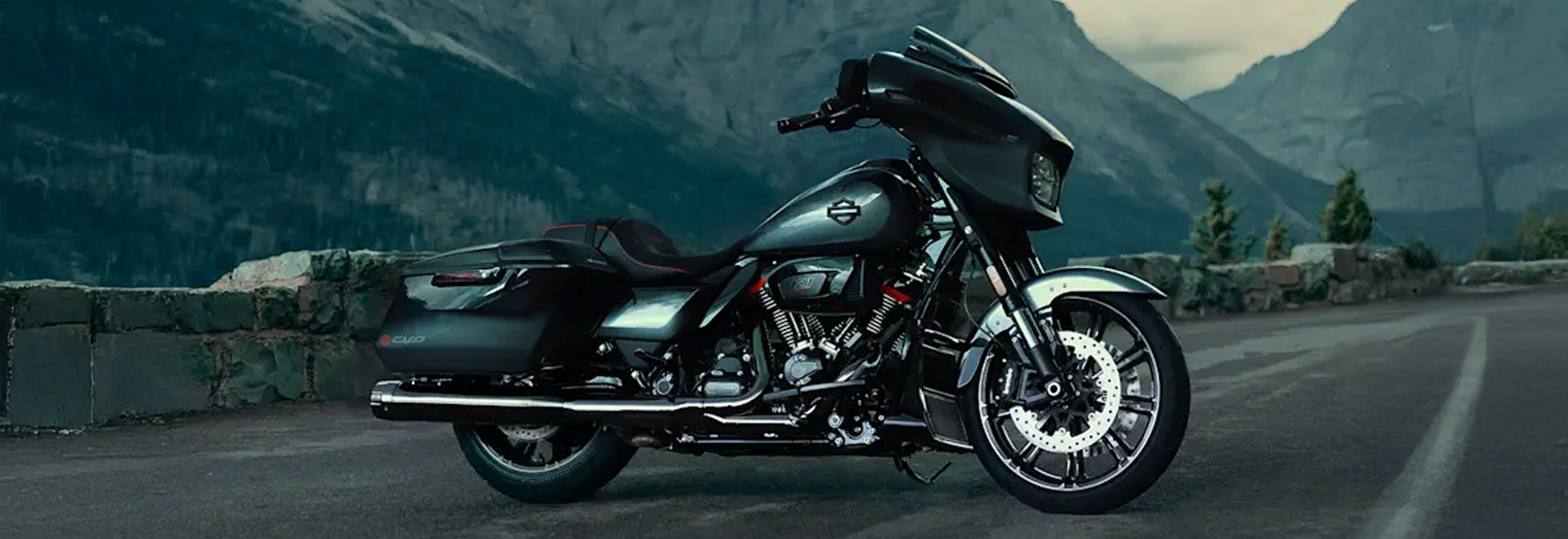 harleybanners (10).jpg?v=1771590085?v=1771591697?v=1771592466?v=1771594615?v=1771596440